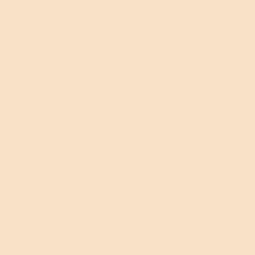 Rosco Filter folija E-Colour #206 1/4 CT Orange 53x122cm