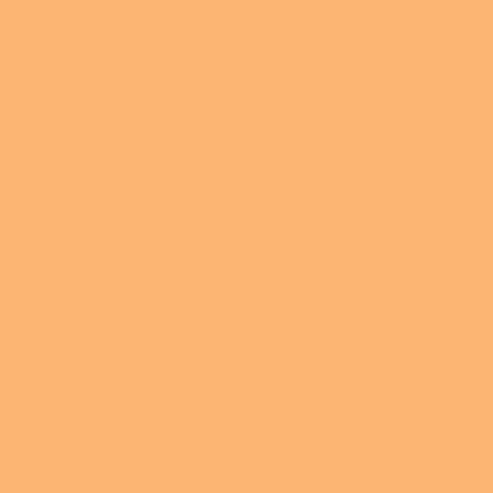 Rosco Filter folija E-Colour #204 Full CT Orange 53x122cm