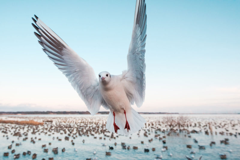 Tokina objektiv ATX-m 11-18mm f2.8 Fuji X