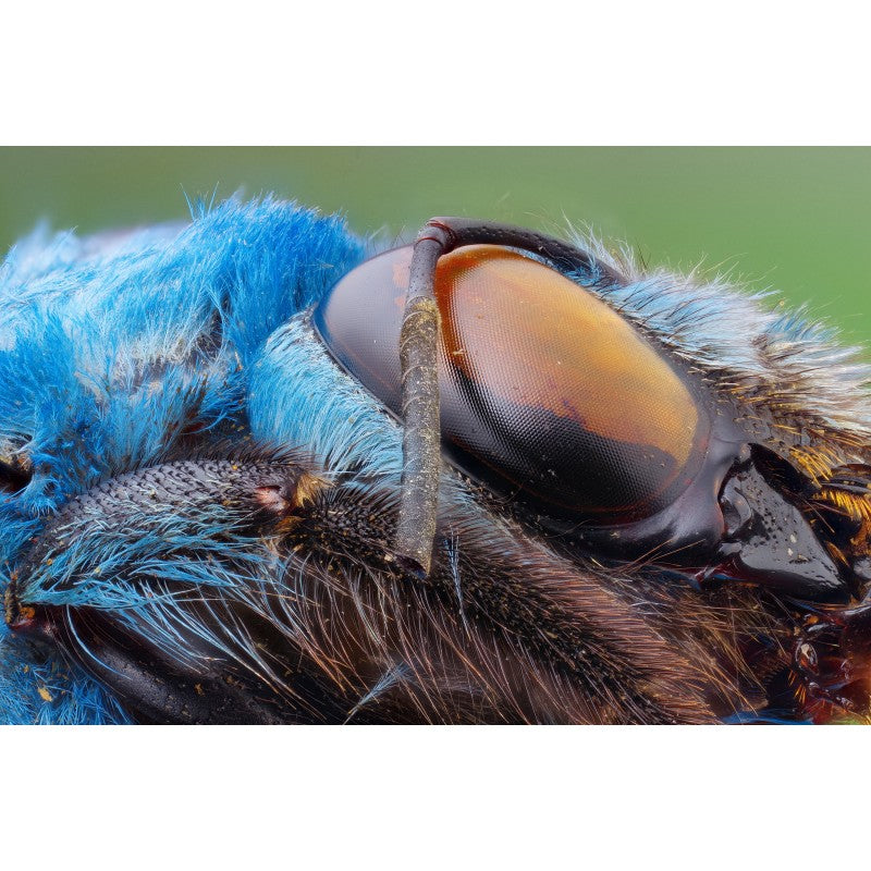 Laowa  25mm F/2.8 2,5-5x Ultra-Makro objektiv (Sony E)