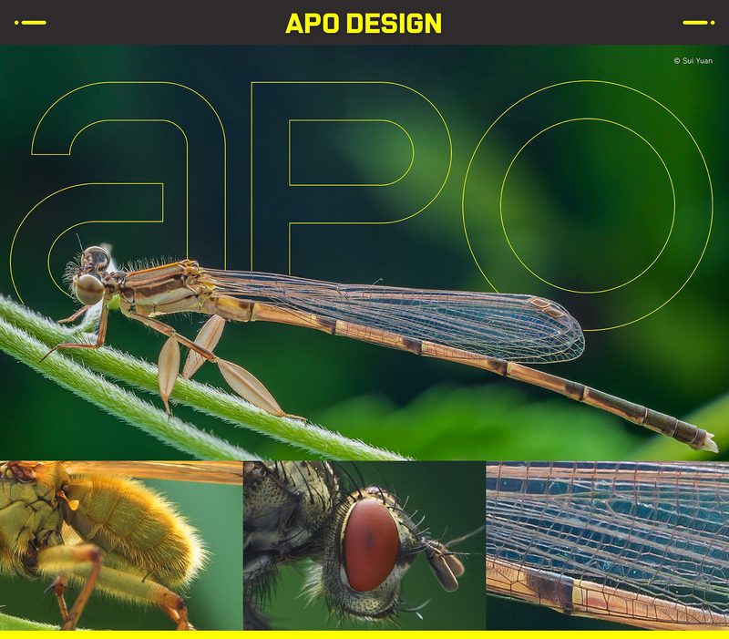 Laowa  58mm F/2.8 2x Ultra-Makro objektiv (L mount)