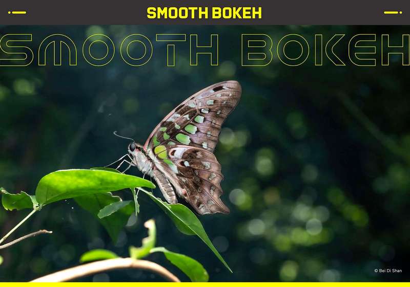 Laowa  58mm F/2.8 2x Ultra-Makro objektiv (Nikon Z)