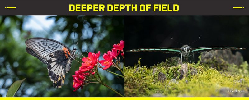 Laowa  58mm F/2.8 2x Ultra-Makro objektiv (Sony E)