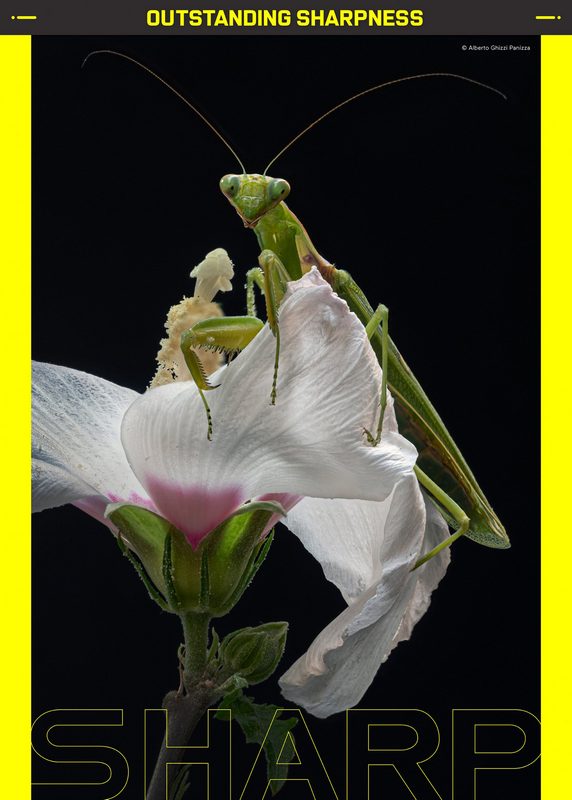 Laowa  58mm F/2.8 2x Ultra-Makro objektiv (L mount)