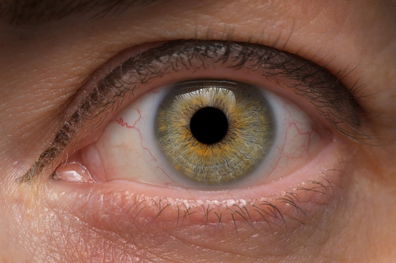 Laowa  90mm F/2.8 2x Ultra-Makro APO objektiv (L mount)