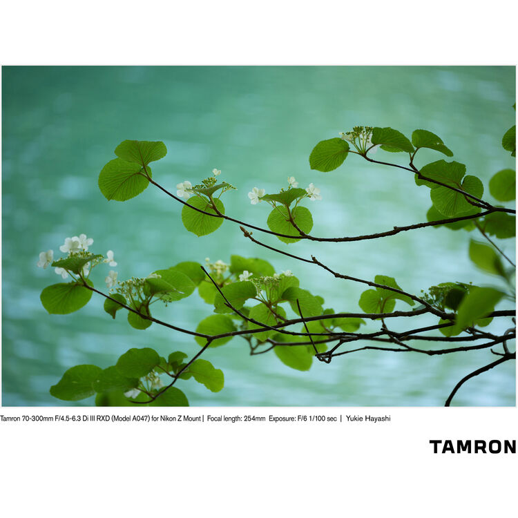 TAMRON  70-300mm f/4.5-6.3 Di III RXD Nikon Z (67mm)