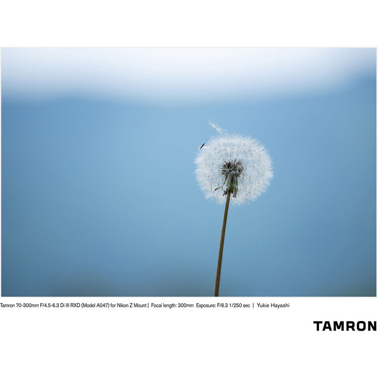 TAMRON  70-300mm f/4.5-6.3 Di III RXD Nikon Z (67mm)
