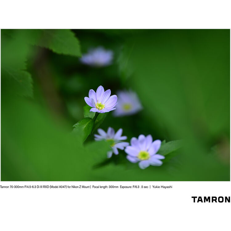 TAMRON  70-300mm f/4.5-6.3 Di III RXD Nikon Z (67mm)