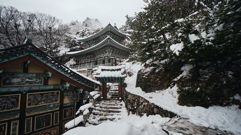 Laowa  10mm F4 Cookie pancake black (Sony E)