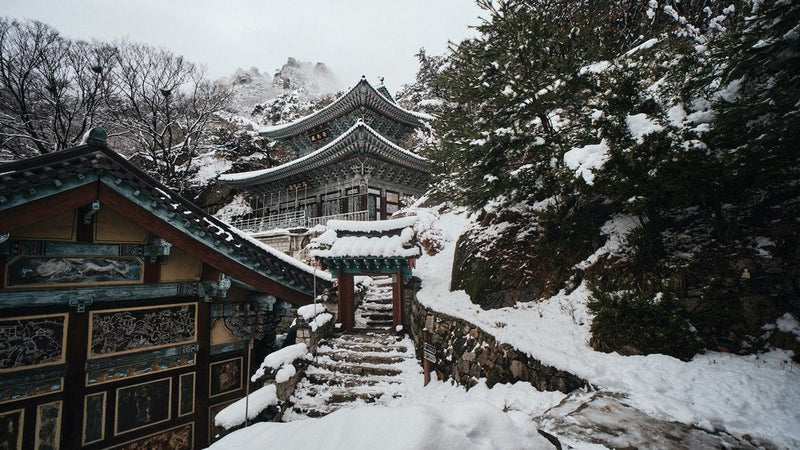 Laowa  10mm F4 Cookie pancake black (Nikon Z)