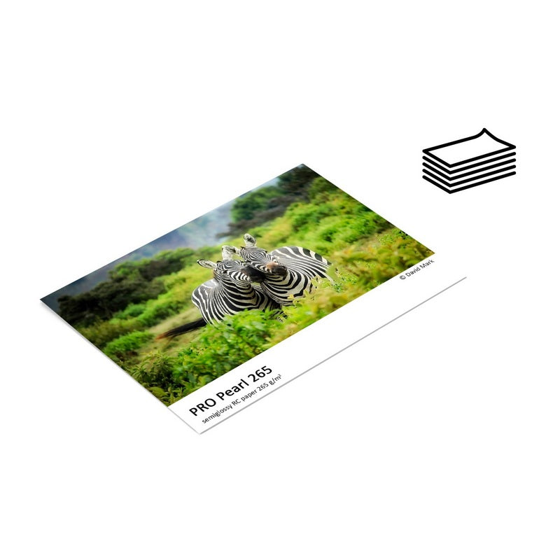 Fomei Inkjet papir PRO 265 Pearl A4 265g/5 list /trail pack