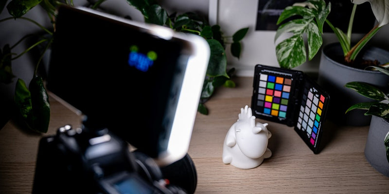 Newell LED light Rangha RGB-W SET (+difuzor + stativ)