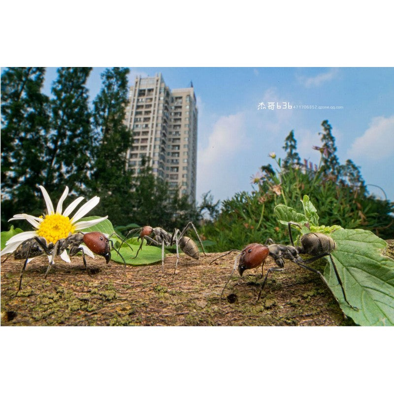 Laowa  15mm F4 Wide Angle Macro (Nikon F)