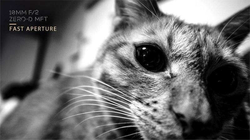 Laowa  10mm F2 Zero-D (MFT)