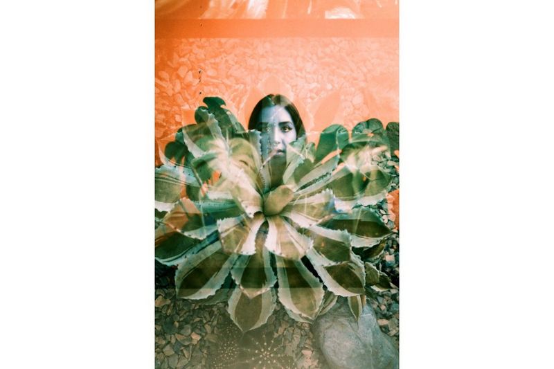 Lomography Lomography TRIO MIX (3x 135/36)