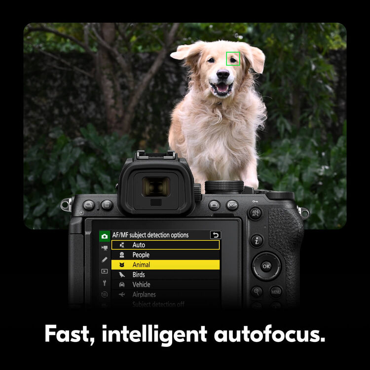 Nikon Z5 II + Z 24-105mm f4-7.1