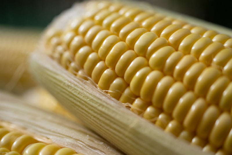 TAMRON  50-400mm f/4.5-6.3 Di III VC VXD Nikon Z (67mm)