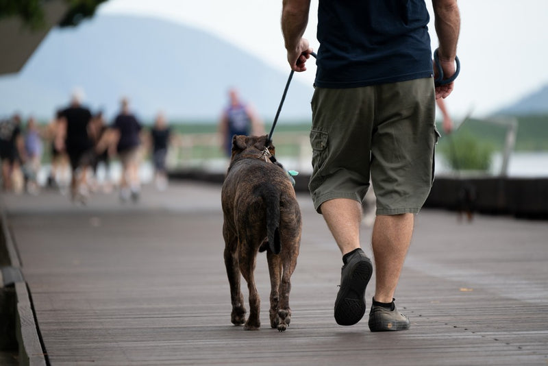 TAMRON  50-400mm f/4.5-6.3 Di III VC VXD Nikon Z (67mm)