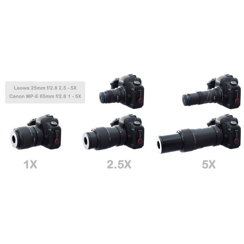 Laowa  25mm F/2.8 2,5-5x Ultra-Makro objektiv (L mount)