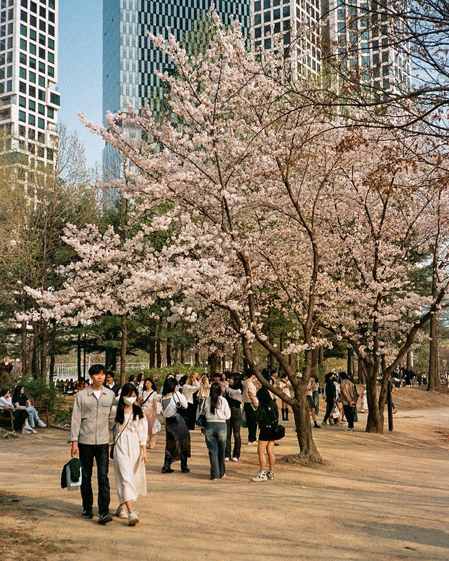 Candido 200 Colour film 135 / 36 Exp