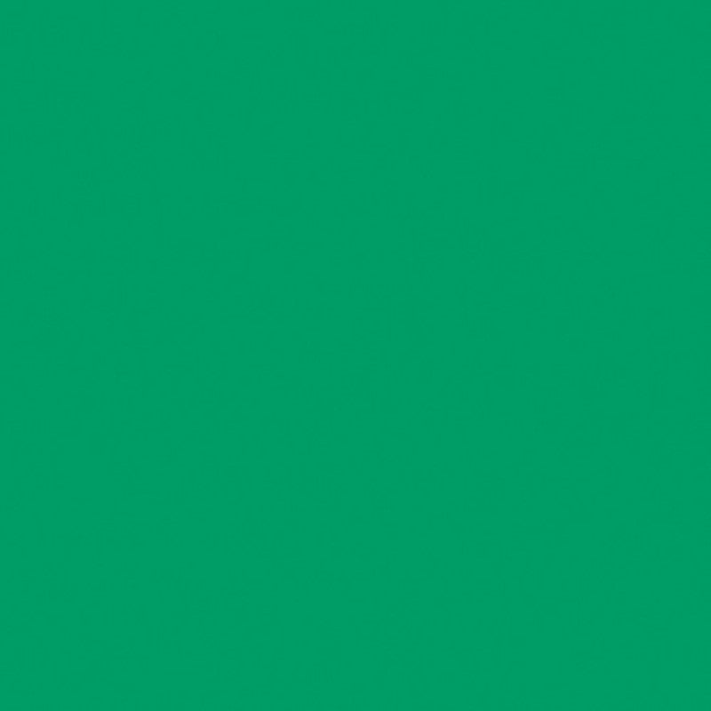 Rosco Filter folija E-Colour #089 Moss green (zelena) 53x122cm