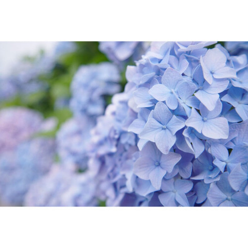 Tokina objektiv ATX-m 11-18mm f2.8 Sony E