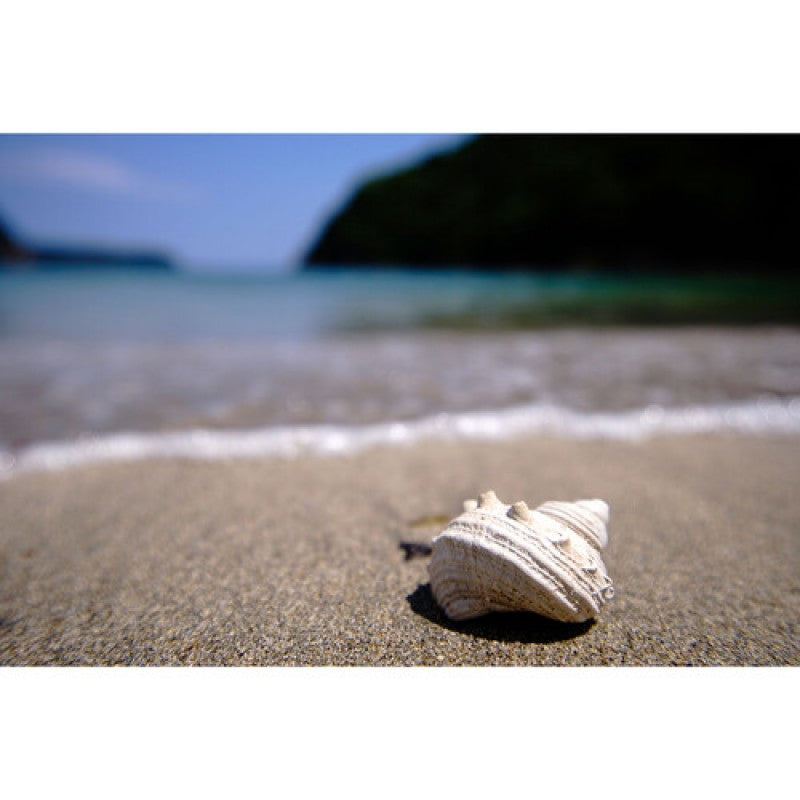 Tokina objektiv ATX-m 11-18mm f2.8 Sony E