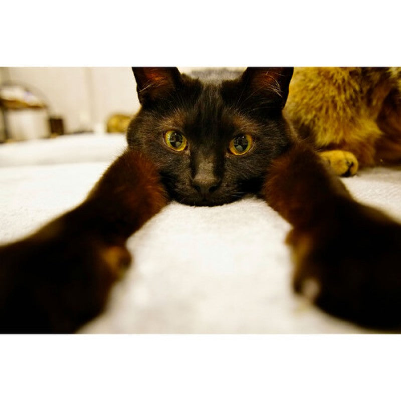 Tokina objektiv ATX-m 11-18mm f2.8 Sony E