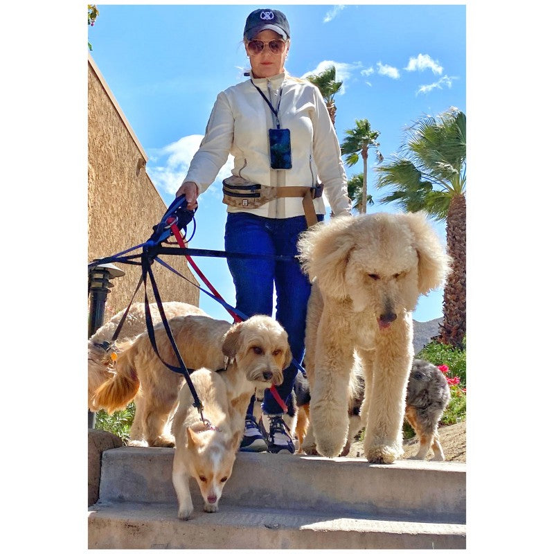 BLACKRAPID: Waist Pack sa 2 džepa+2 zipera - Digital Desert Camo