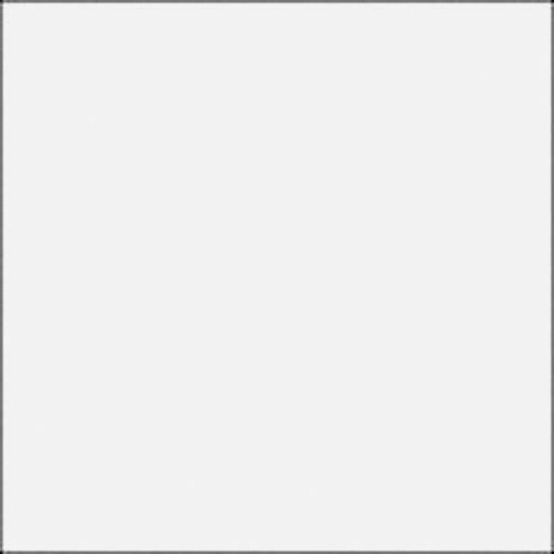 Rosco Filter folija E-Colour #216 White diffuson 1/1 53x122cm