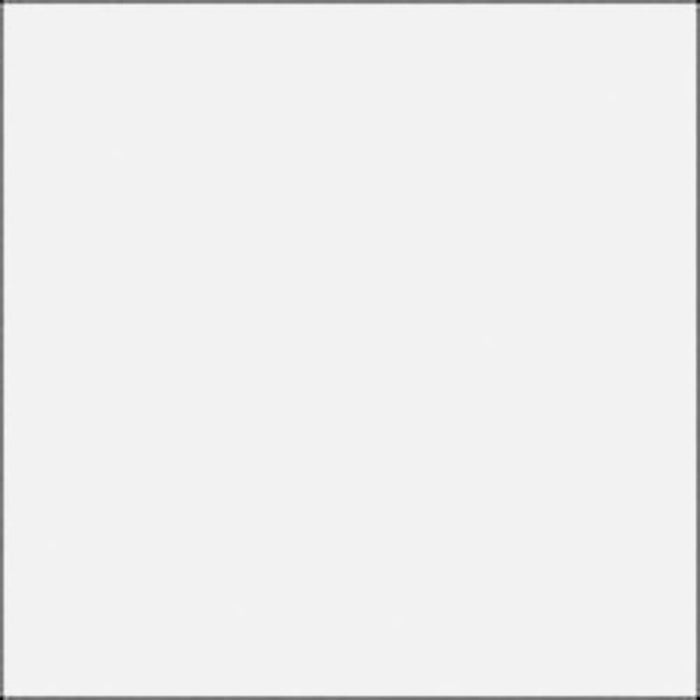 Rosco Filter folija E-Colour #216 White diffuson 1/1 53x122cm