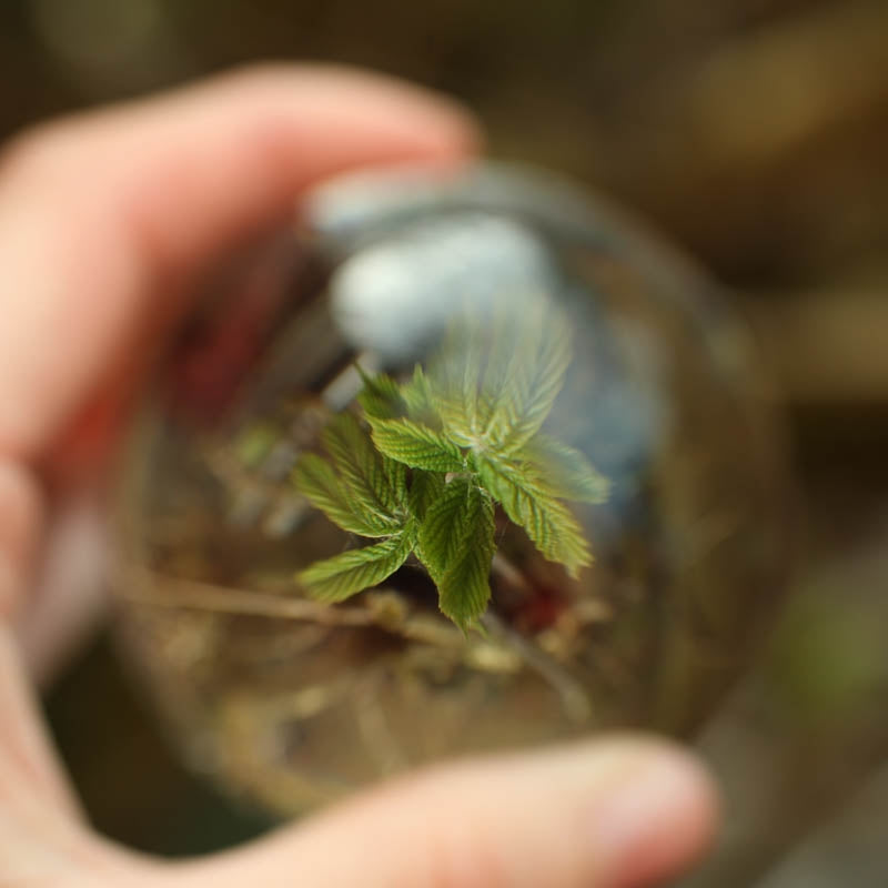 Staklena foto kugla  90mm (lensball) + Caruba Deluxe torbica