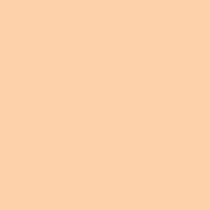 Rosco Filter folija E-Colour #205 1/2 CT Orange 53x122cm