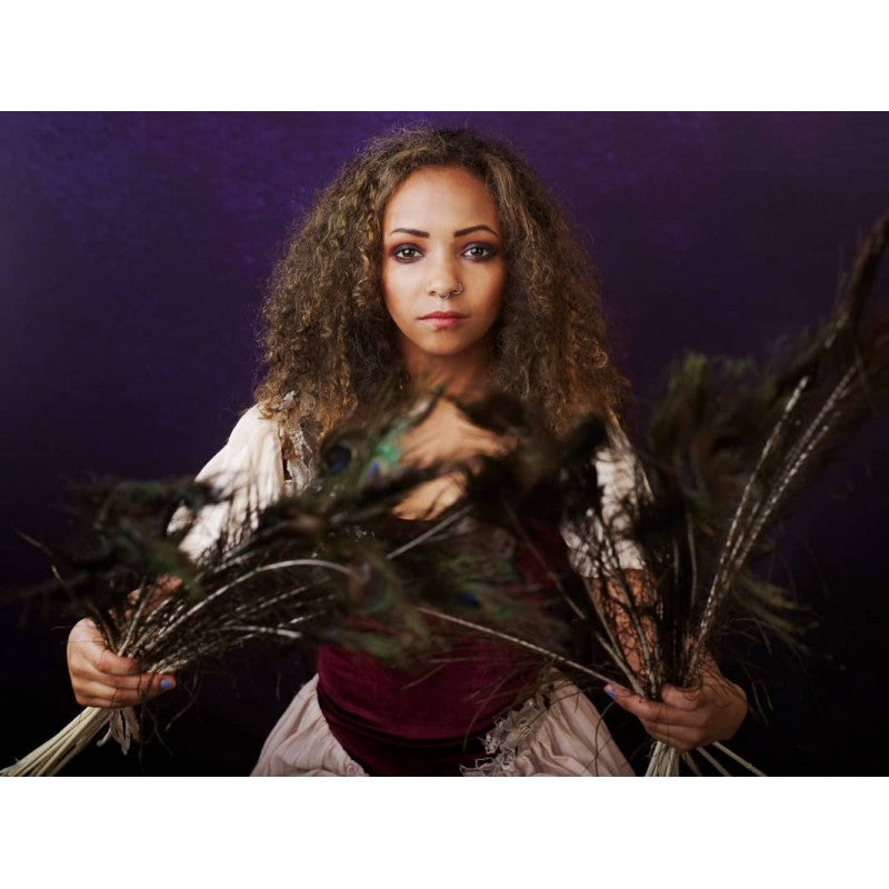 Manfrotto EzyFrame Vintage pozadina 2x2.3m Aubergine / s okvirom