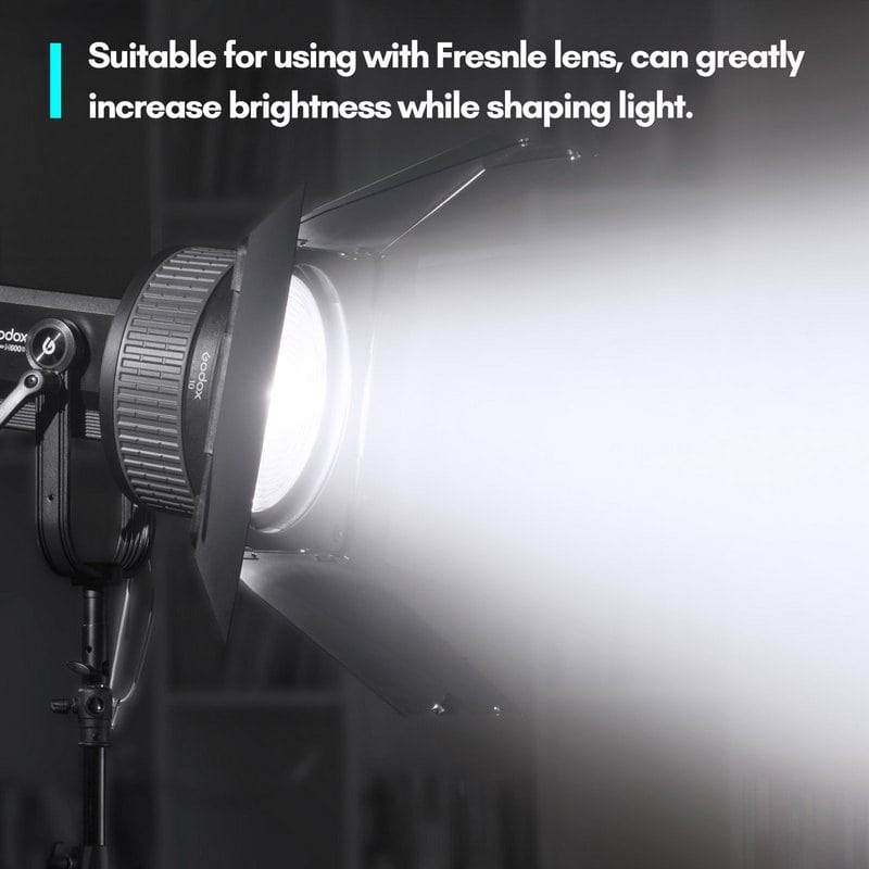 Godox Pribor Klapne LB-02 za Fresnel FLS10