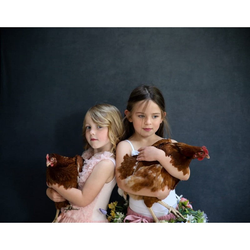 Manfrotto Vintage Walnut/Pewter 1,5x2,1m - pozadina na okviru