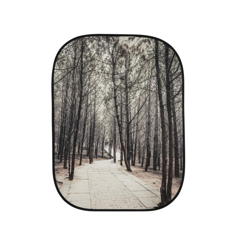 Lastolite PERSPECTIVE Stone steps/Winter trees 1,5x2,1m - pozadina na okviru