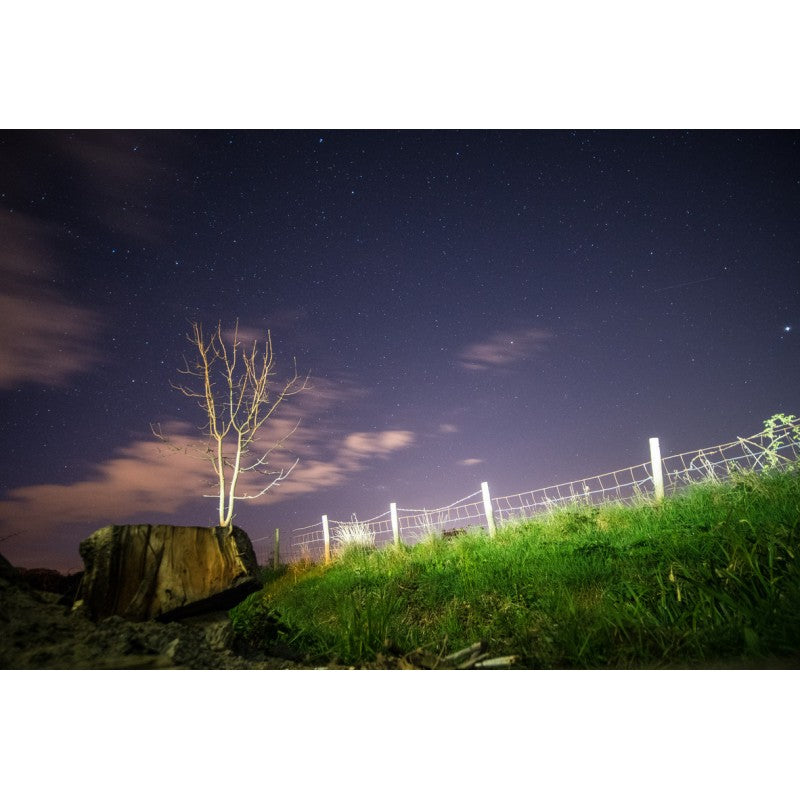 Laowa   7,5mm F2 Ultra Wide Standard Silver (MFT)