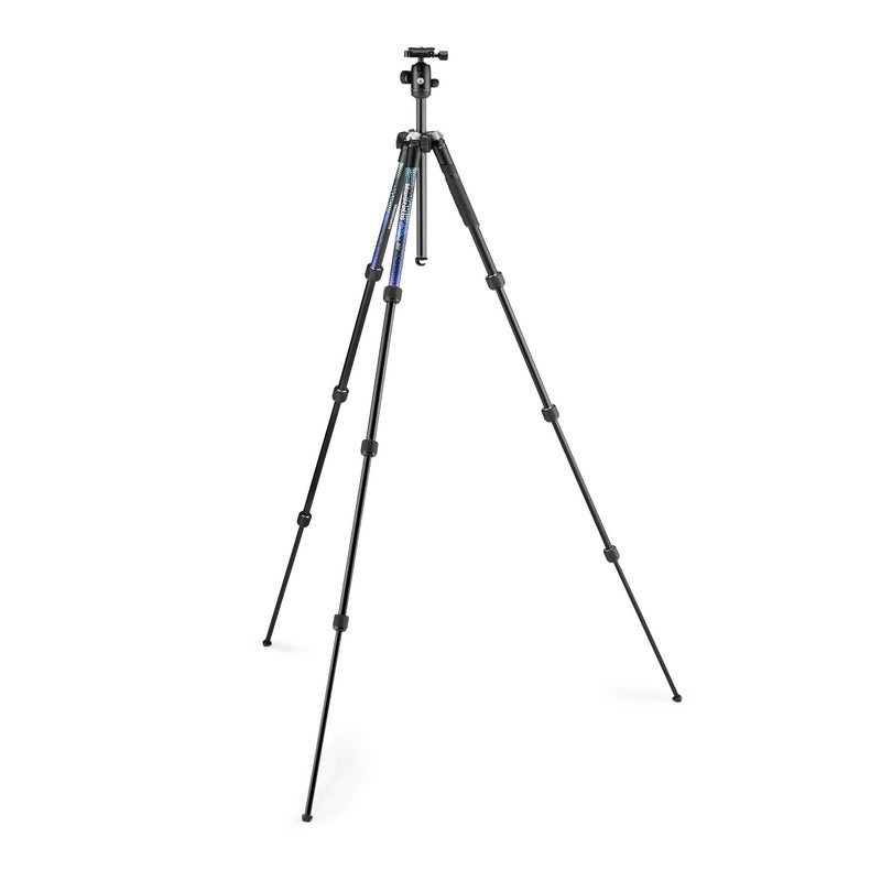 Manfrotto Element MII stativ + kugla glava PLAVI
