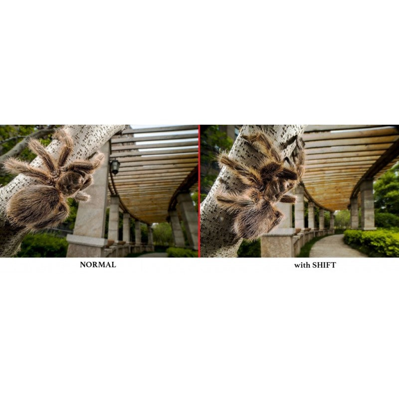 Laowa  15mm F4 Wide Angle Macro (Canon EF)