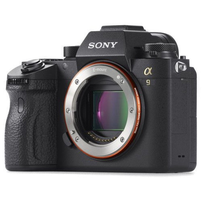 Sony Alpha a9II body