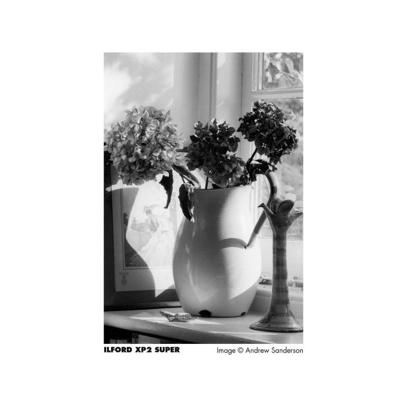 ILFORD Film XP-2 Super 400 135/36